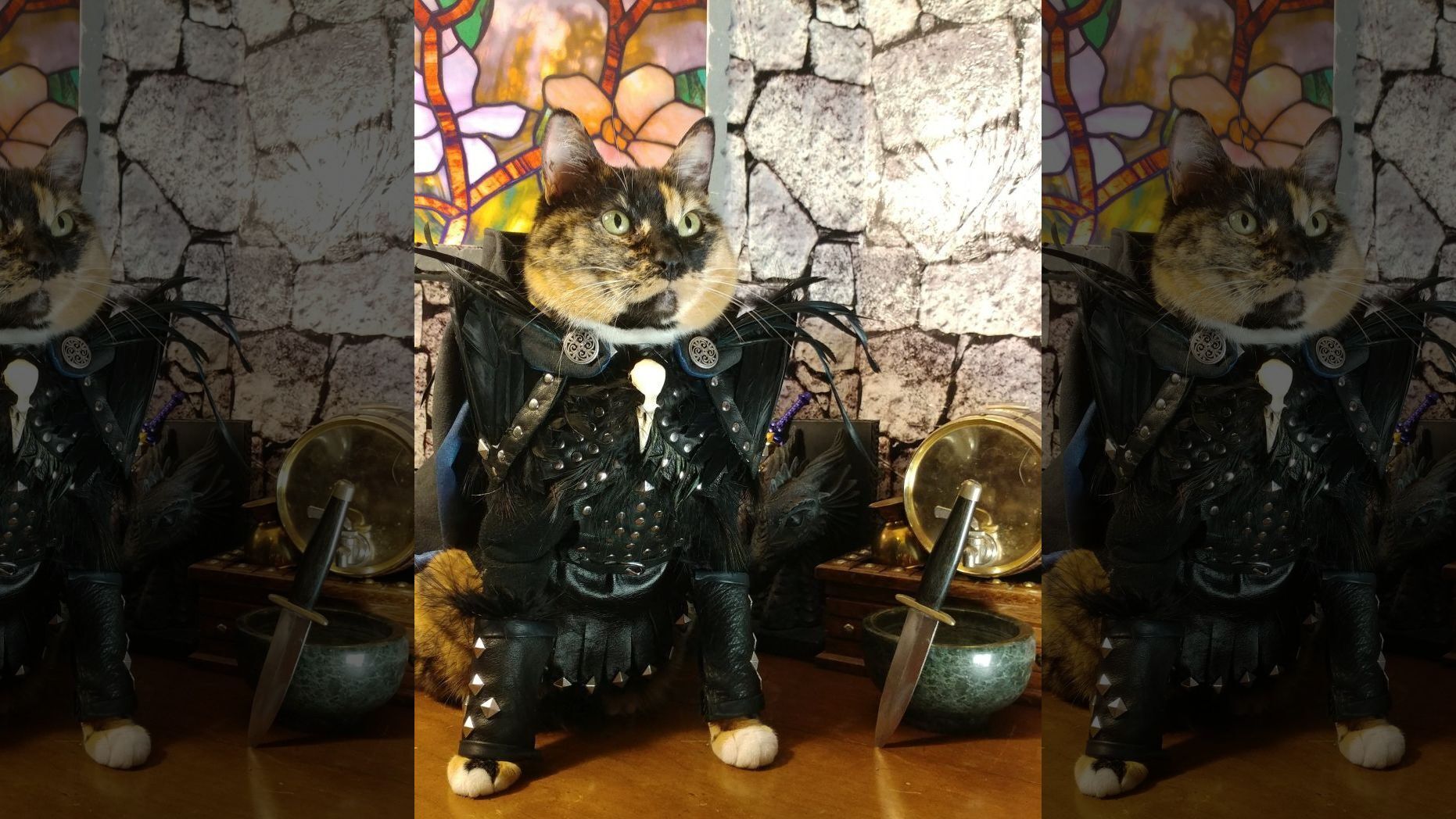game of thrones cat 10-31-20.jpg